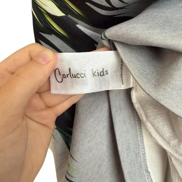 Carlucci Kids Sleeveless Feather Print Dress Girl Size 3T Gray Blue Formal Lined - Picture 10 of 10